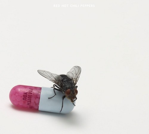 Red Hot Chili Peppers “I’m With You” Cover Art By Damien Hirst