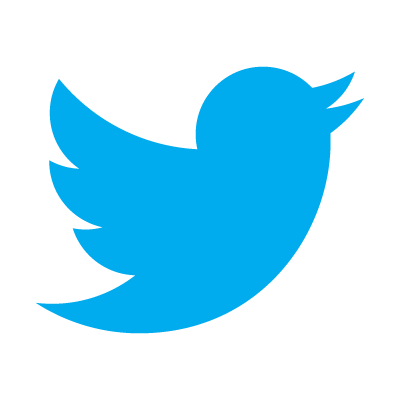 The New Twitter Logo